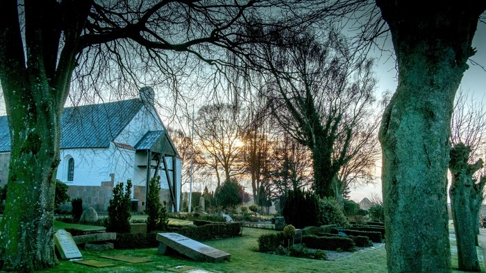 En kirkegård med træer og gravsteder ved en kirke