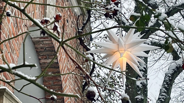 Weihnachtsstern an einem schneebedeckten Baum
