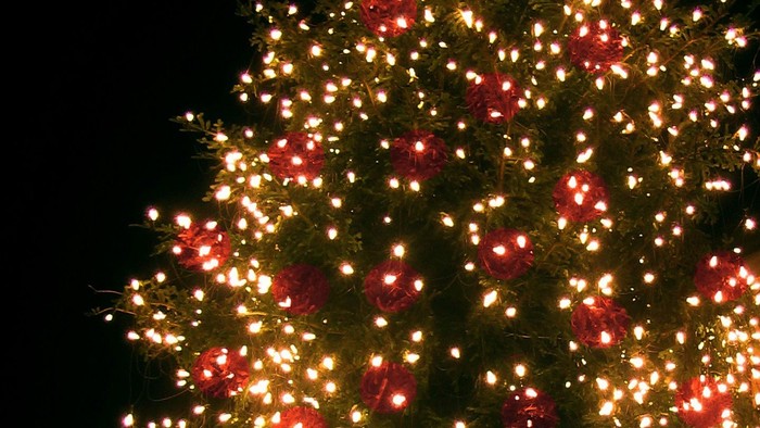 Ein Weihnachtsbaum mit vielen Lichtern und roten Kugeln.