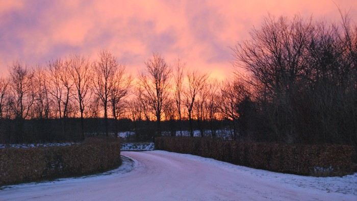 En fredfyldt vintervej bugter sig gennem bladløse træer ved solnedgang med en glødende, lyserød himmel.