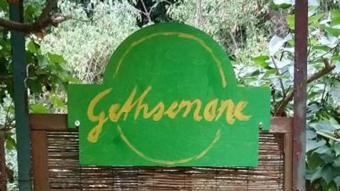 Schild