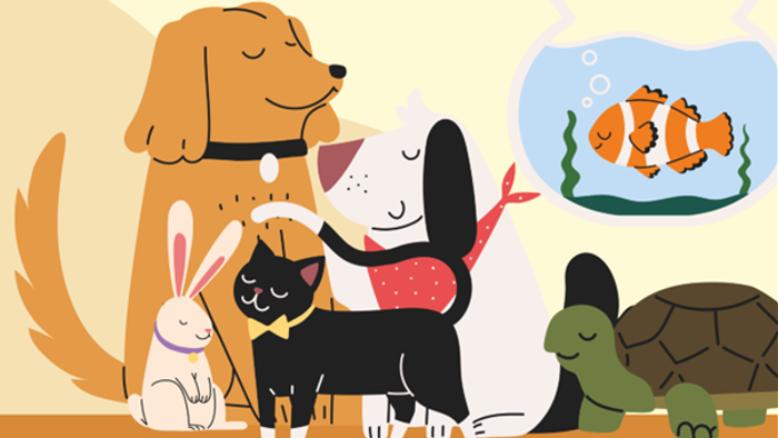 Animals including a dog, cat, rabbit, turtle, and fish interacting together.