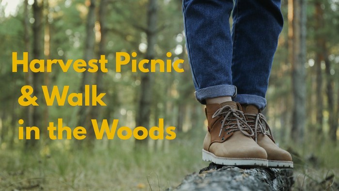 Feet stood on a log in the woods