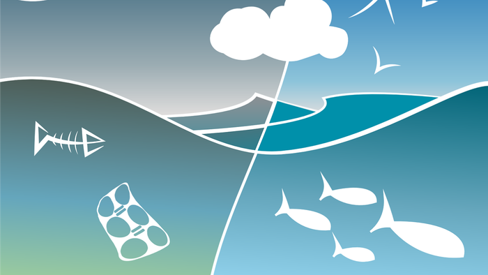 Underwater scene with fish, a skeleton, and a soda can, separated by a wave