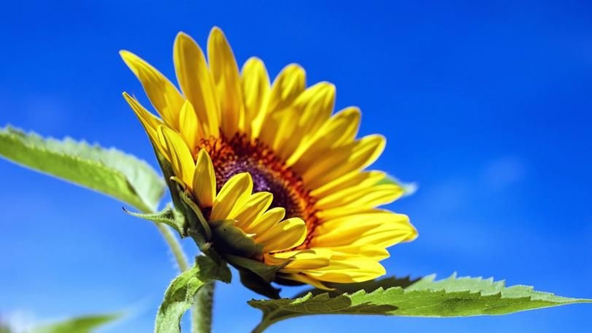 Café Kehrwieder startet am 27. August nach der Sommerpause wieder