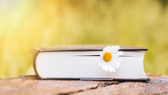 Ein Buch liegt auf einem Baumstamm mit einer weißen Blume darauf