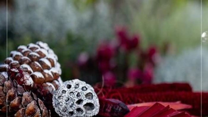 Weihnachtsdekoration mit Tannenzapfen und roten Fächern