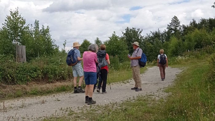 Eine Wandergruppe auf einem Weg in der Natur