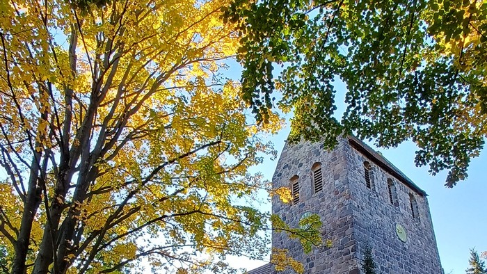 Dorfkirche Marienfelde umgeben von Bäumen mit Herbstlaub