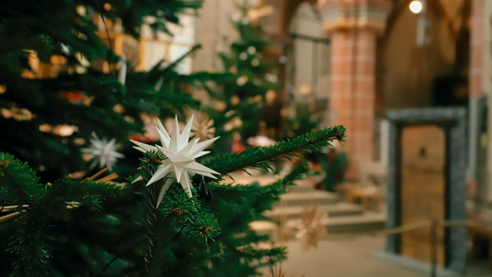 Weihnachtsbaum mit weißen Sternendekorationen in einem Gebäude.