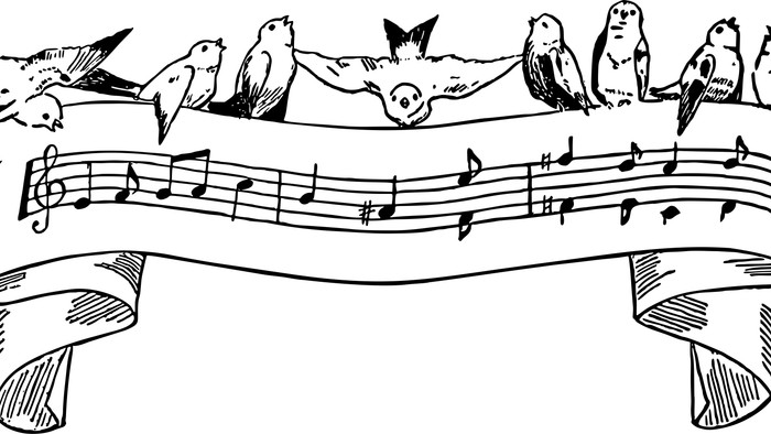 En flok fugle sad på et bånd og spillede musikalske noder sammen.