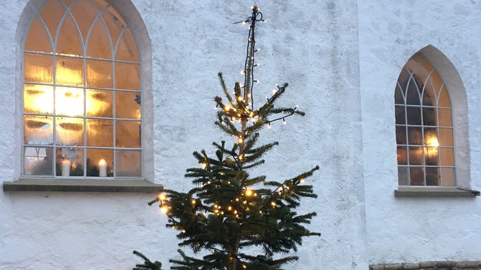 Et juletræ med lys foran et kirkevindue