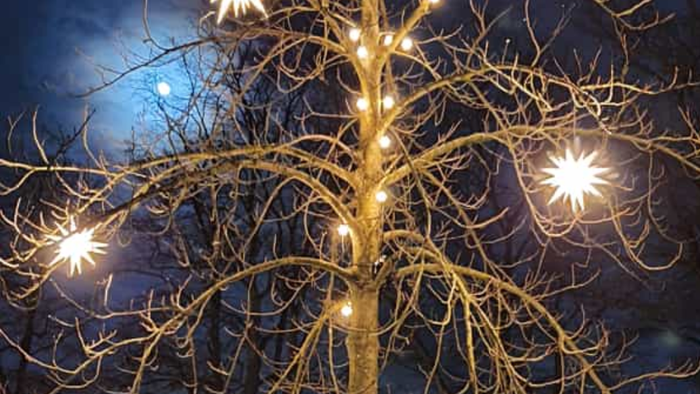 Ein Baum ist mit Lichtern und Schneeflocken dekoriert