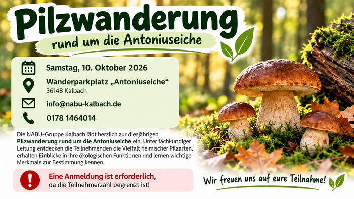 Pilzwander-Veranstaltung rund um die Antoniuseiche in Kalbach – Ankündigung mit Details zu Datum, Ort und Anmeldebedingungen.