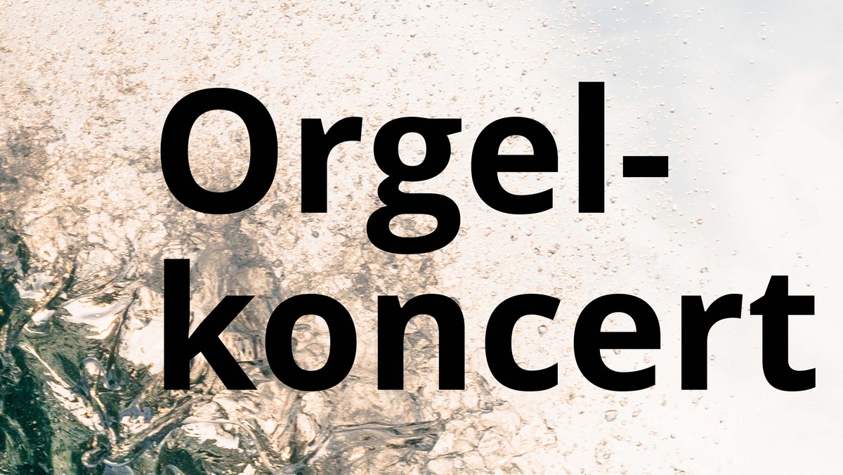 Orgelkoncert i Vejleå Kirke