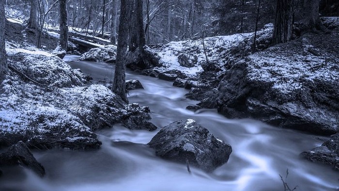 En vinterlig skog med en elv som flyder gennem sten og sne.