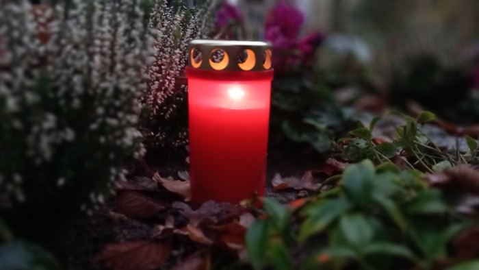 Eine rote Kerze brennt inmitten von Blättern und Pflanzen.
