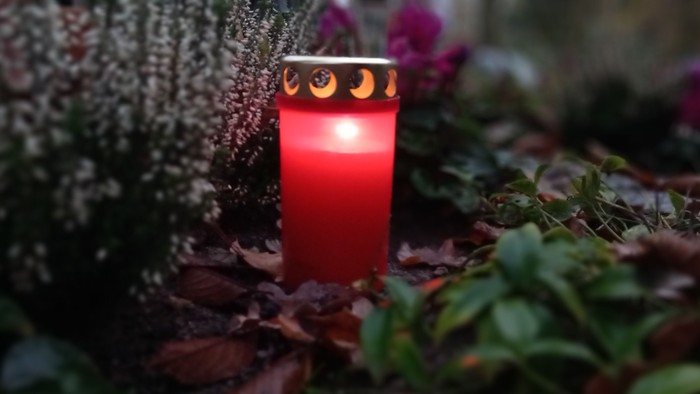 Eine rote Kerze brennt inmitten von Blättern und Pflanzen.