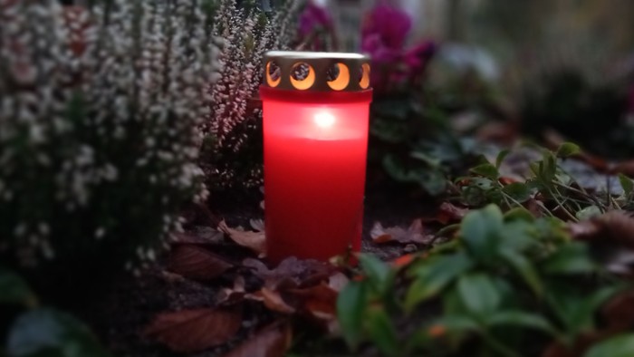 Eine rote Kerze brennt inmitten von Blättern und Pflanzen.