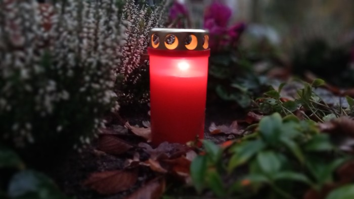 Eine rote Kerze brennt inmitten von Blättern und Pflanzen.