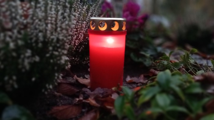 Eine rote Kerze brennt inmitten von Blättern und Pflanzen.