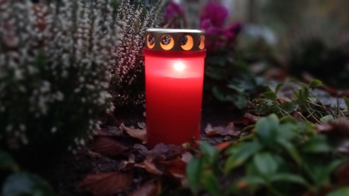 Eine rote Kerze brennt inmitten von Blättern und Pflanzen.