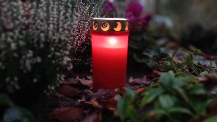 Eine rote Kerze brennt inmitten von Blättern und Pflanzen.