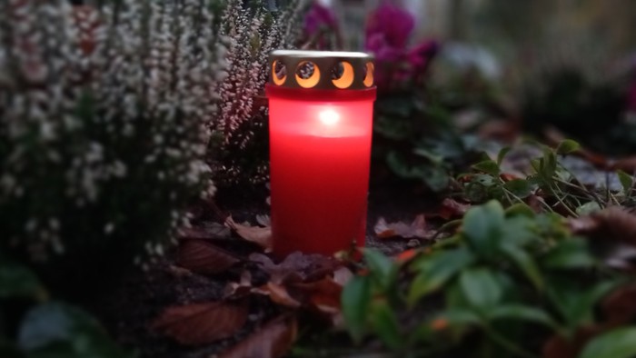Eine rote Kerze brennt inmitten von Blättern und Pflanzen.