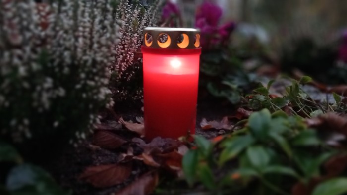 Eine rote Kerze brennt inmitten von Blättern und Pflanzen.