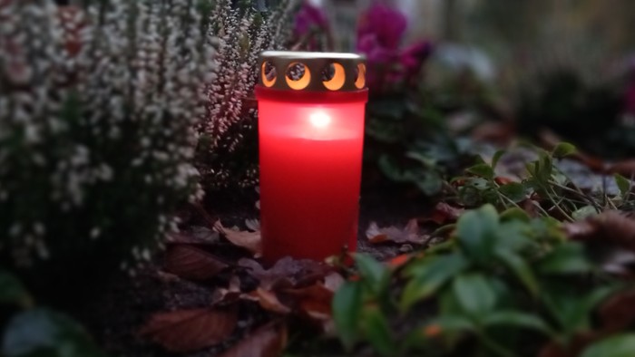 Eine rote Kerze brennt inmitten von Blättern und Pflanzen.