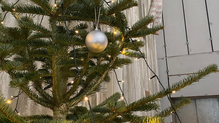 Juletræ med lys og pynt.