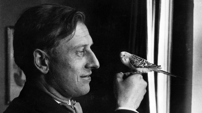 Ein Mann hält sanft einen kleinen Vogel, der auf seiner Hand sitzt, nahe einem Fenster.
