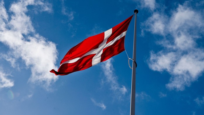 Dansk flag viger i bløgt vind mod himmel med flåde.