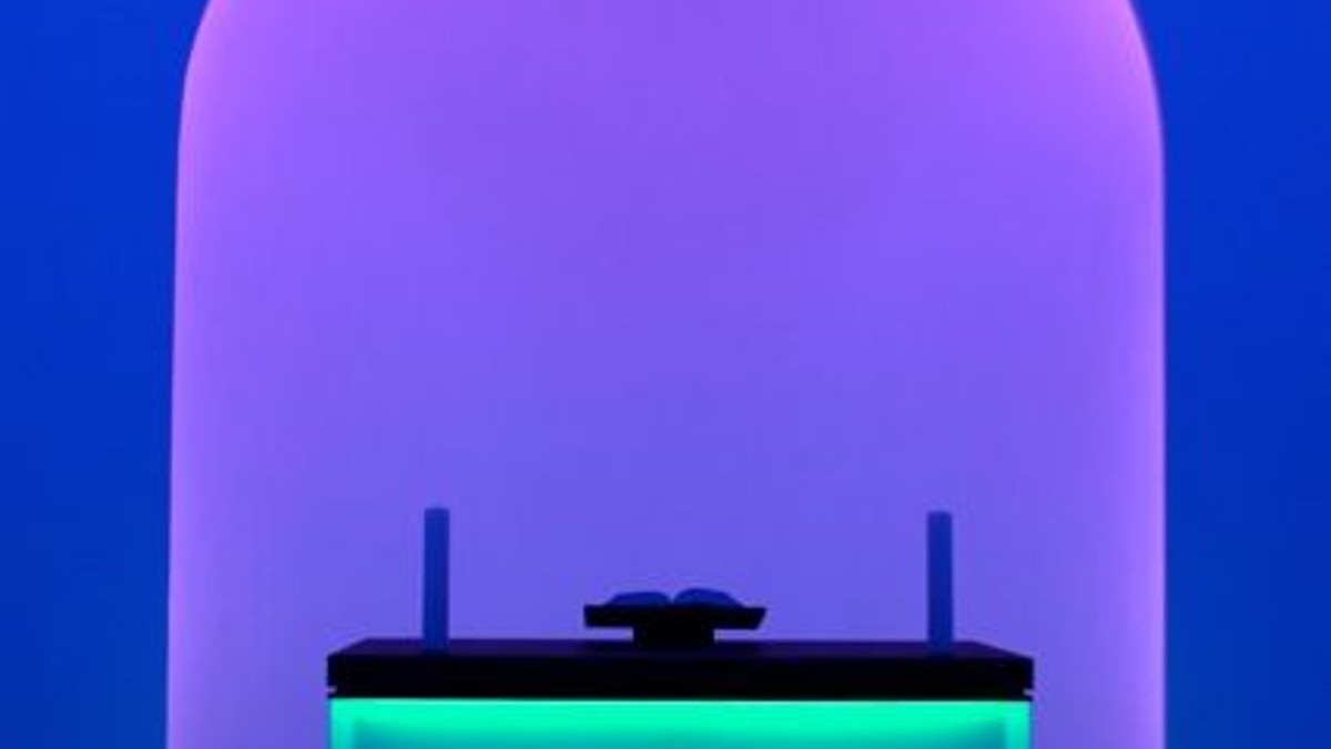 "In der Farbe gehen" - Lesung im Lichtraum von James Turrell