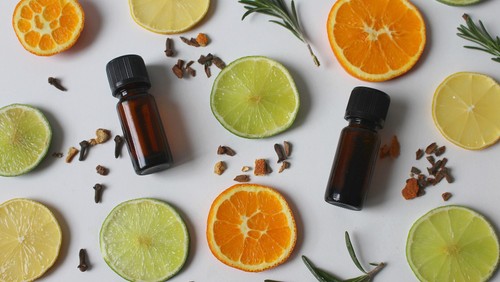 Herstellen von Naturkosmetik, Heilölen und Salben- "Heilöle und Salben"
