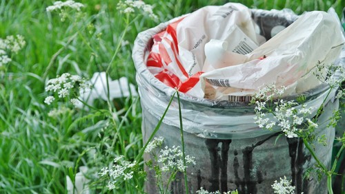Plastikfreier Leben- wie geht das praktisch?