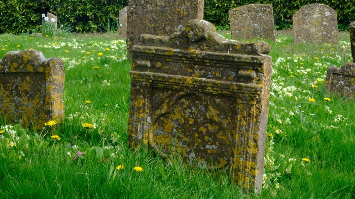 Alte Grabsteine in einem grasbewachsenen Friedhof