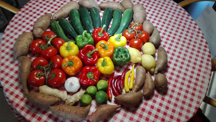 Ein Tisch mit verschiedenen Gemüsesorten wie Tomaten, Paprika, Gurken und Kartoffeln.