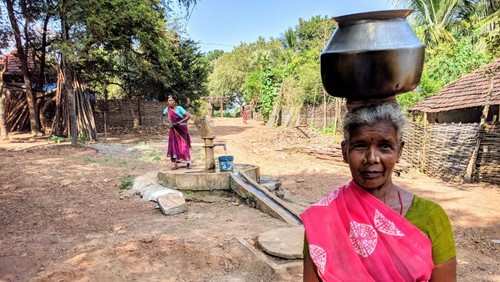 Wege aus der Ernährungskrise - was macht "Brot für die Welt" gegen den Hunger - mit Bildern von einer Projektreise nach Indien