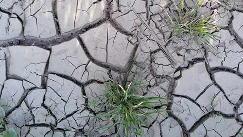 VK Klimagudstjeneste / Sophie Nielsen & Michael Rønne Rasmussen