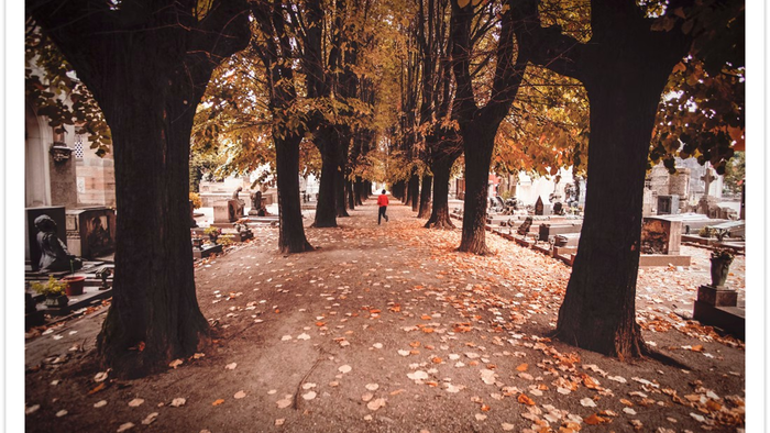 Ein friedlicher Herbstwaldweg mit gefallenen Blättern und Grabsteinen