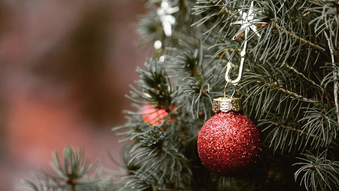 Ein roter, glitzernder Weihnachtschmuck hängt an einem Kiefernzweig.