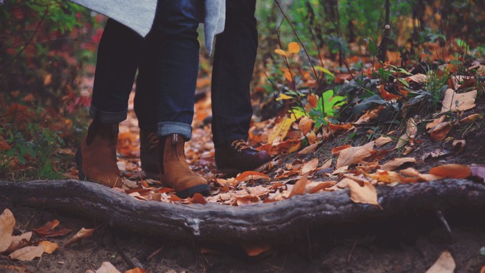 Person geht durch Herbstwald, tritt auf gefallene Blätter und Baumstämme