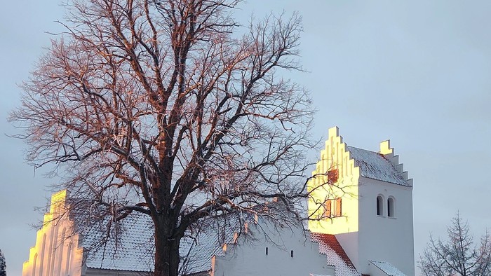 En snedækket kirke med en stor tårn og en træ i forgrunden