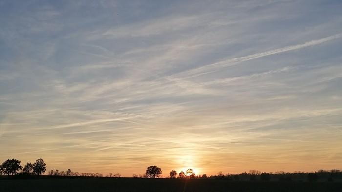 Sonnenuntergang über einem Feld