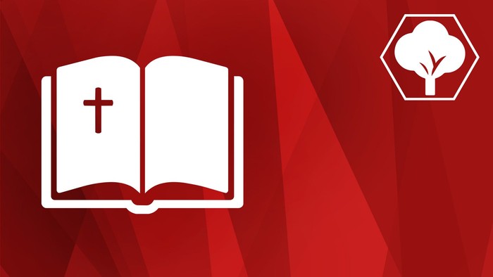 Symbolische Grafik mit einer geöffneten Bibel, einem Kreuz und einem Baum-Logo auf rotem geometrischem Hintergrund.