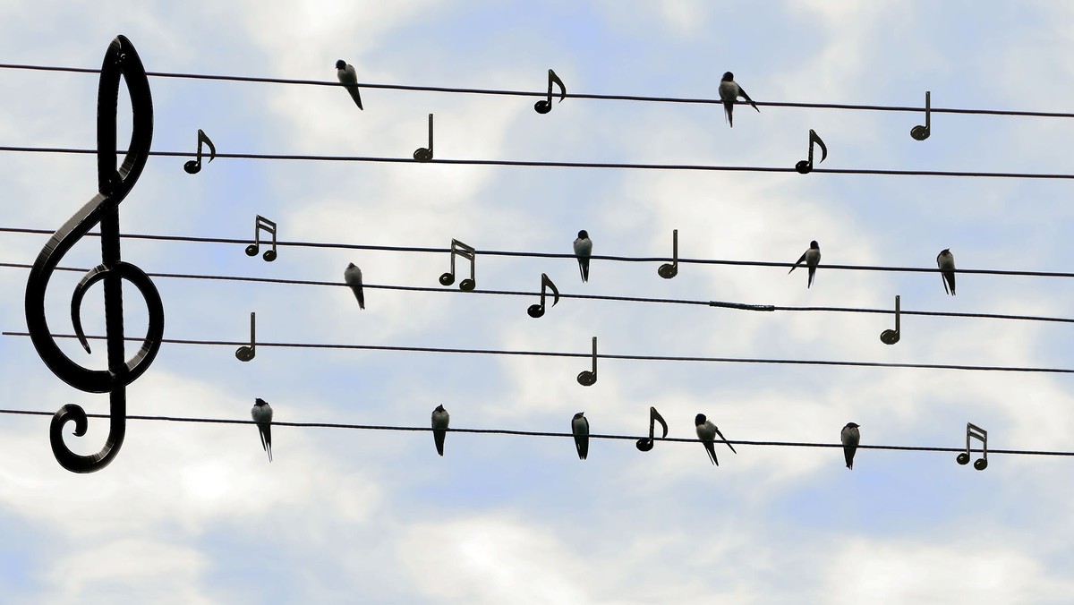 Musikalischer Gottesdienst "Cantate" Singet