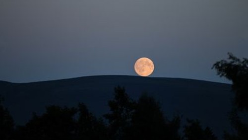 "Stimmen in der Nacht". Literaturcafé zu einem Roman von Steven Millhauser