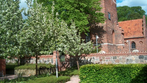 Højmesse v/ES 15. s. e. trinitatis