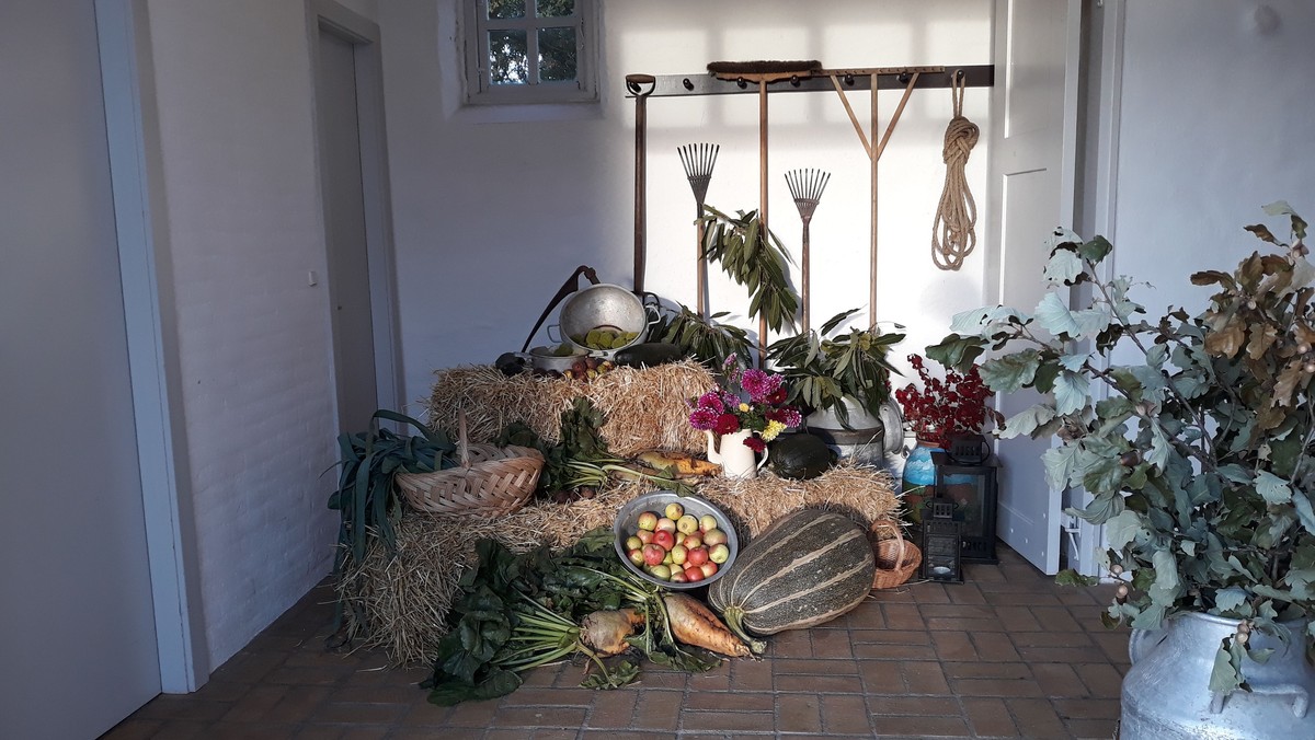 Frilufts Høstgudstjeneste - fælles m. Brunch